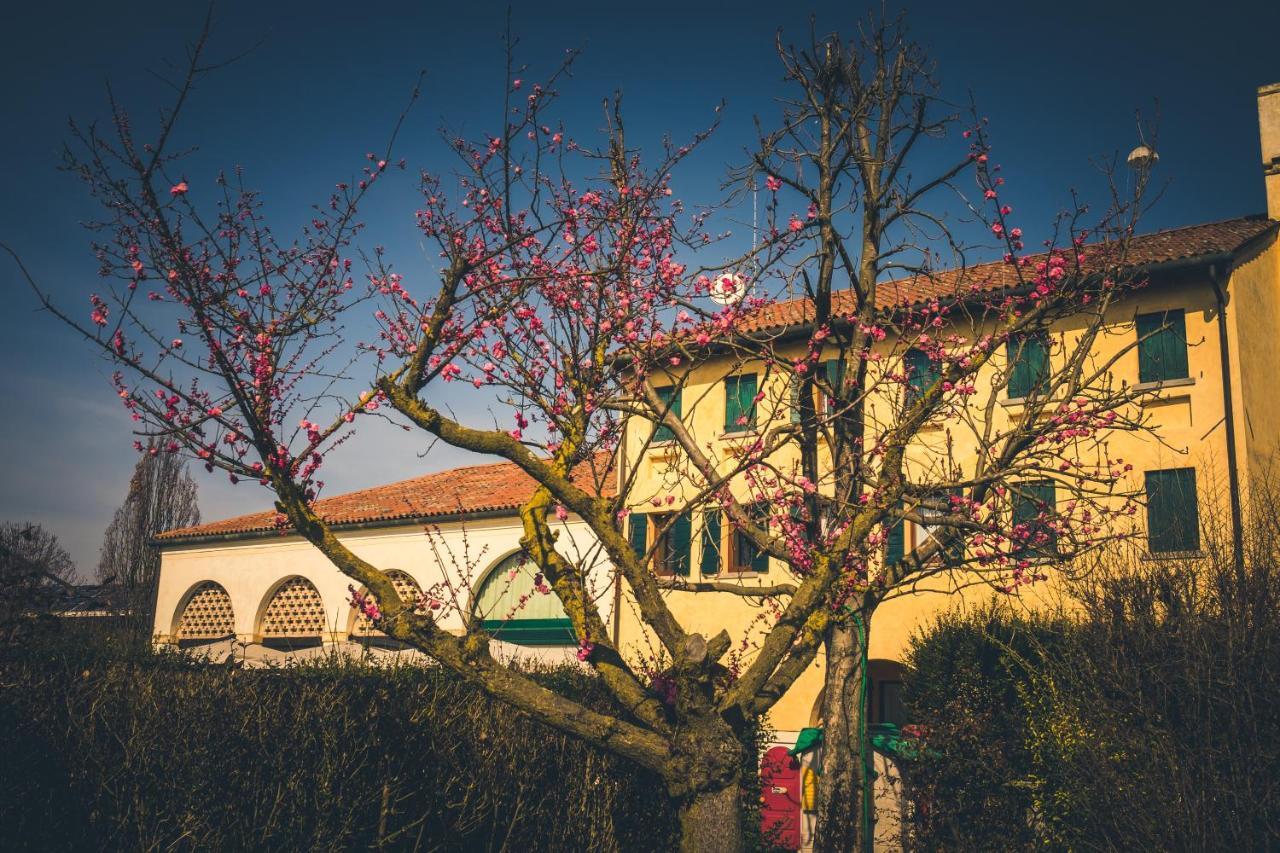 הוילה Cessalto Le Vigne Morosina מראה חיצוני תמונה